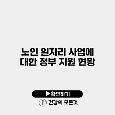 노인 일자리 사업에 대한 정부 지원 현황
