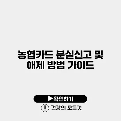 농협카드 분실신고 및 해제 방법 가이드