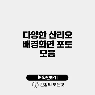 다양한 산리오 배경화면 포토 모음