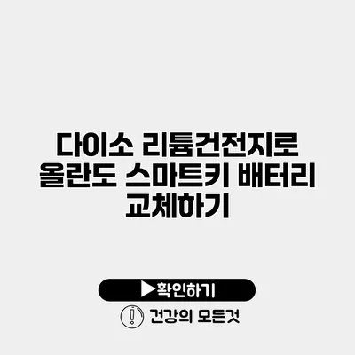 다이소 리튬건전지로 올란도 스마트키 배터리 교체하기