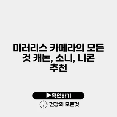 미러리스 카메라의 모든 것 캐논, 소니, 니콘 추천