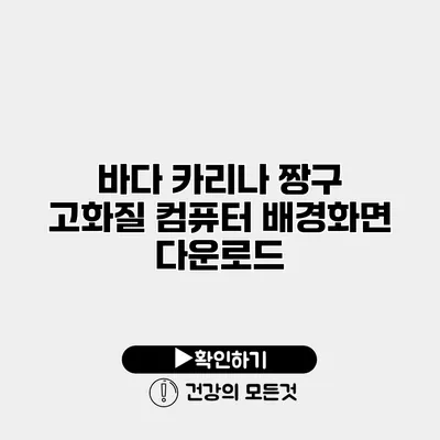 바다 카리나 짱구 고화질 컴퓨터 배경화면 다운로드