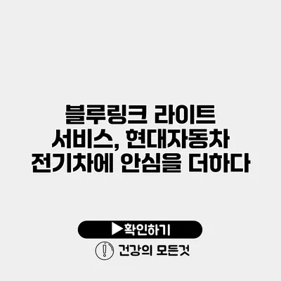 블루링크 라이트 서비스, 현대자동차 전기차에 안심을 더하다