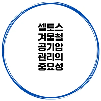 셀토스 겨울철 공기압 관리의 중요성