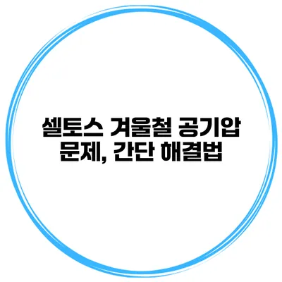 셀토스 겨울철 공기압 문제, 간단 해결법