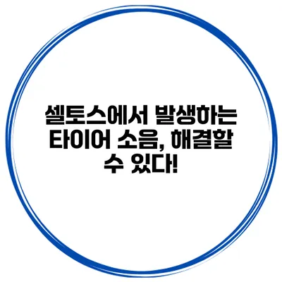 셀토스에서 발생하는 타이어 소음, 해결할 수 있다!