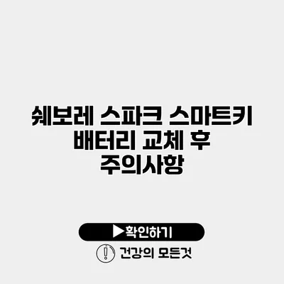 쉐보레 스파크 스마트키 배터리 교체 후 주의사항