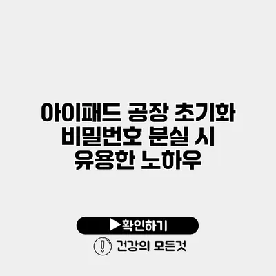 아이패드 공장 초기화 비밀번호 분실 시 유용한 노하우