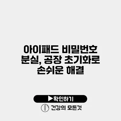 아이패드 비밀번호 분실, 공장 초기화로 손쉬운 해결