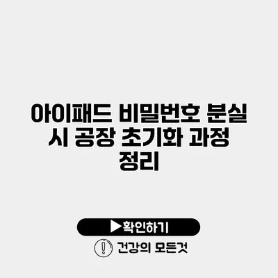 아이패드 비밀번호 분실 시 공장 초기화 과정 정리
