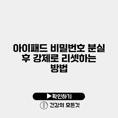 아이패드 비밀번호 분실 후 강제로 리셋하는 방법