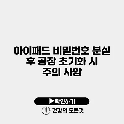 아이패드 비밀번호 분실 후 공장 초기화 시 주의 사항