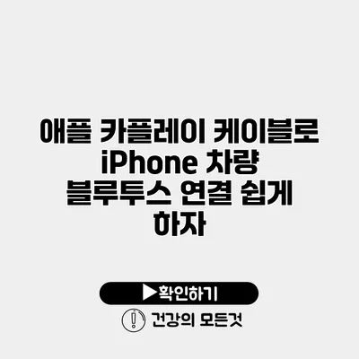 애플 카플레이 케이블로 iPhone 차량 블루투스 연결 쉽게 하자