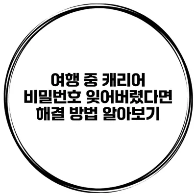 여행 중 캐리어 비밀번호 잊어버렸다면? 해결 방법 알아보기