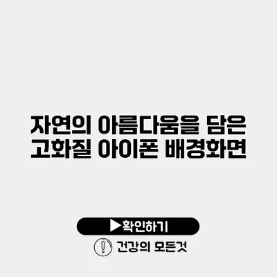 자연의 아름다움을 담은 고화질 아이폰 배경화면