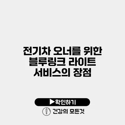 전기차 오너를 위한 블루링크 라이트 서비스의 장점