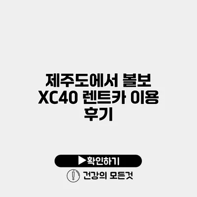 제주도에서 볼보 XC40 렌트카 이용 후기