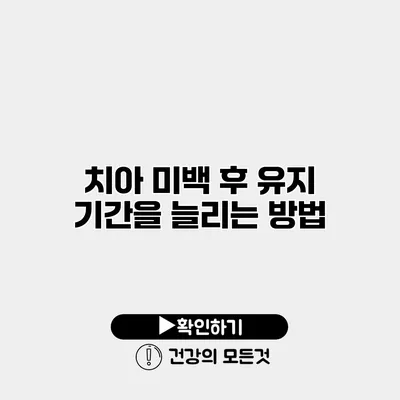 치아 미백 후 유지 기간을 늘리는 방법