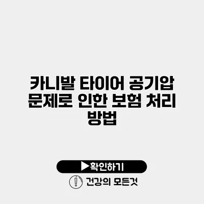 카니발 타이어 공기압 문제로 인한 보험 처리 방법
