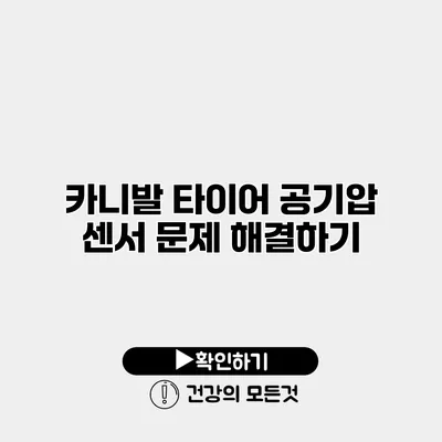 카니발 타이어 공기압 센서 문제 해결하기