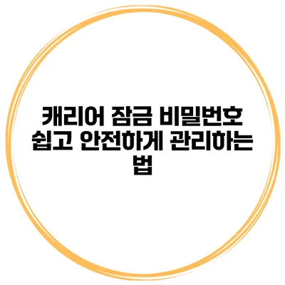 캐리어 잠금 비밀번호 쉽고 안전하게 관리하는 법