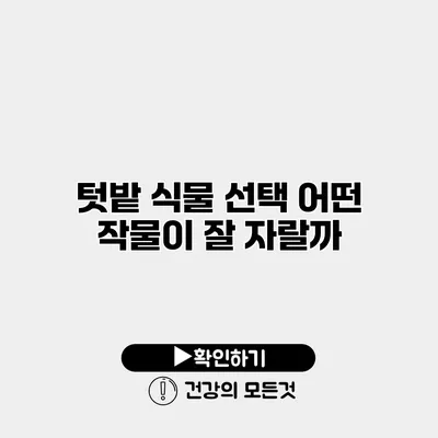 텃밭 식물 선택 어떤 작물이 잘 자랄까?