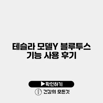 테슬라 모델Y 블루투스 기능 사용 후기